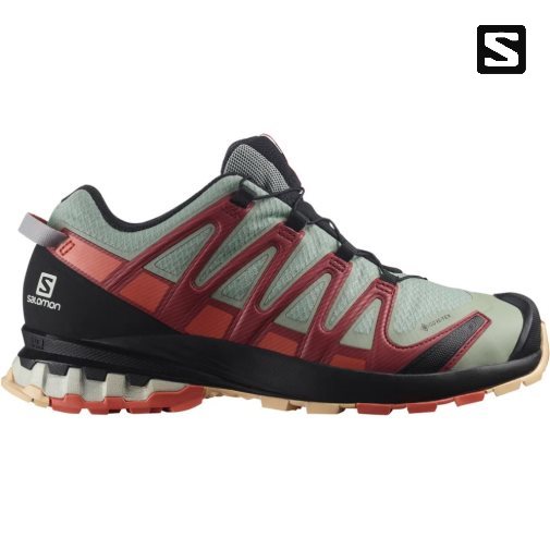 Olive / Red Salomon Xa Pro 3d V8 GTX Women's Trail Running Shoes | IE QJ3184